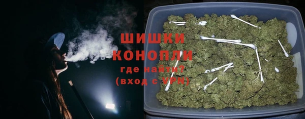 крисы Кулебаки