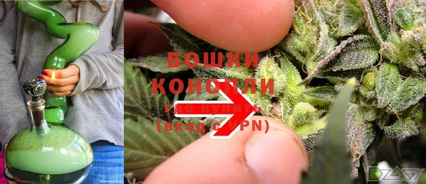 крисы Кулебаки
