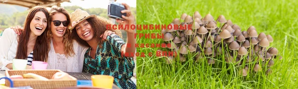 мяу мяу мука Краснотурьинск
