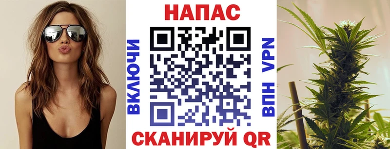 Каннабис индика Дыгулыбгей
